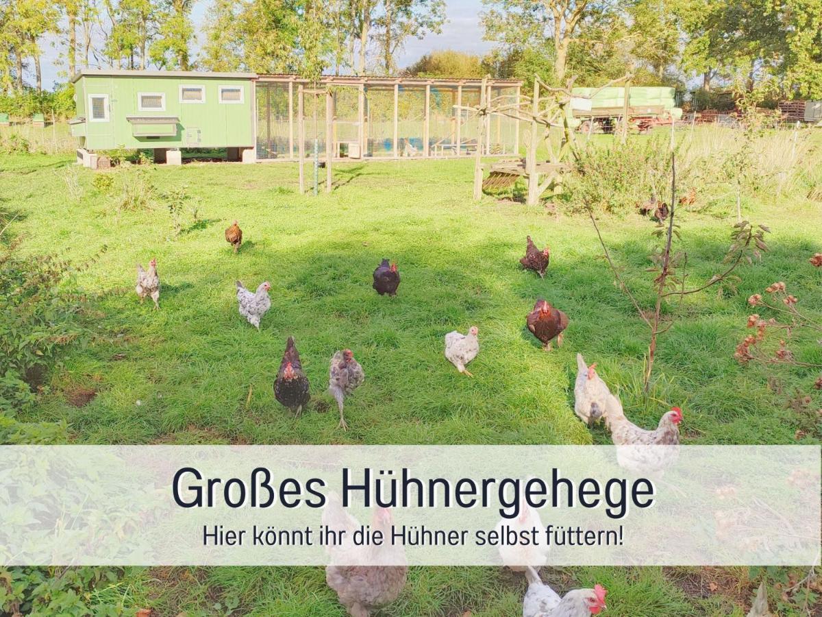 Bio Ferienhof Wichtelweide - Ferienhaus Lichtblick Φέμαρν Εξωτερικό φωτογραφία