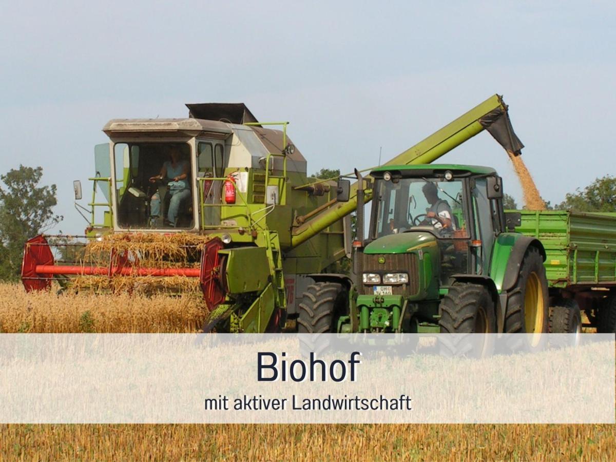Bio Ferienhof Wichtelweide - Ferienhaus Lichtblick Φέμαρν Εξωτερικό φωτογραφία